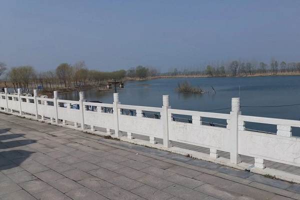 大连景观河道石栏杆选哪家 厂家附近生产商